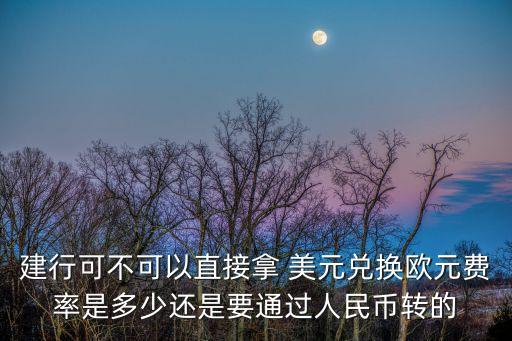 建行可不可以直接拿 美元兌換歐元費(fèi)率是多少還是要通過(guò)人民幣轉(zhuǎn)的