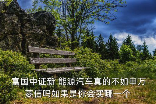  富國中證新 能源汽車真的不如申萬菱信嗎如果是你會(huì)買哪一個(gè)