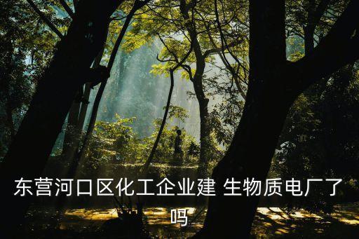 東海龍源生物質發(fā)電有限公司,江蘇海上龍源發(fā)電有限公司待遇