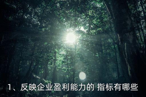 1、反映企業(yè)盈利能力的 指標(biāo)有哪些