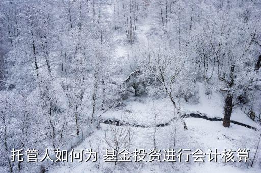 基金管理費怎么入賬,分公司交給總公司的管理費怎么入賬