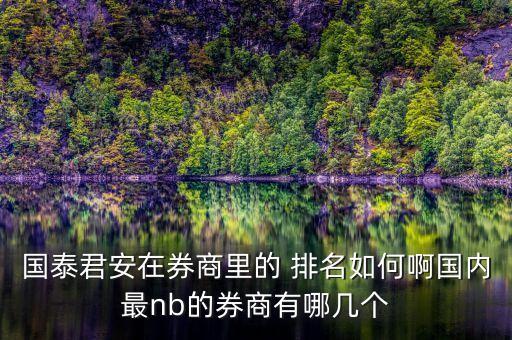 國泰君安在券商里的 排名如何啊國內最nb的券商有哪幾個