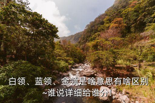  白領(lǐng)、藍(lán)領(lǐng)、金領(lǐng)是啥意思有啥區(qū)別~誰(shuí)說(shuō)詳細(xì)給誰(shuí)分!