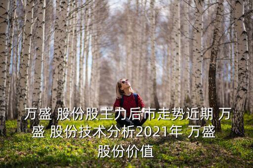  萬盛 股份股主力后市走勢近期 萬盛 股份技術分析2021年 萬盛 股份價值