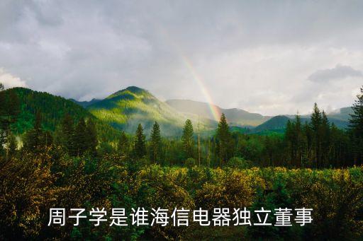 周子學是誰海信電器獨立董事