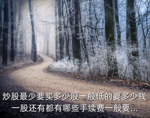 炒股最少要買多少股一般低的要多少錢(qián)一股還有都有哪些手續(xù)費(fèi)一般要...
