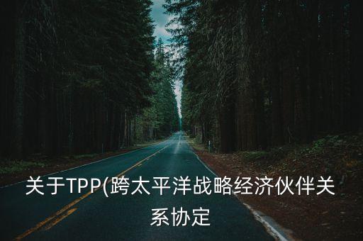 關于TPP(跨太平洋戰(zhàn)略經濟伙伴關系協(xié)定