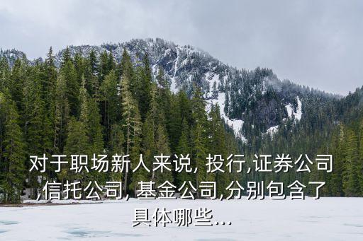對(duì)于職場(chǎng)新人來說, 投行,證券公司,信托公司, 基金公司,分別包含了具體哪些...