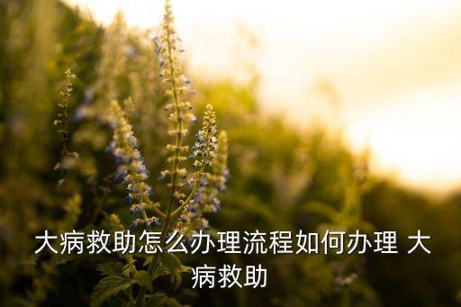 中國大病應急基金會,兒童大病救助基金會電話