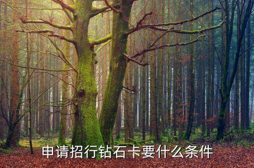 申請(qǐng)招行鉆石卡要什么條件