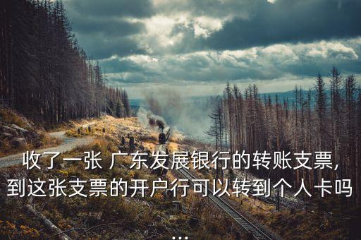 收了一張 廣東發(fā)展銀行的轉(zhuǎn)賬支票,到這張支票的開戶行可以轉(zhuǎn)到個(gè)人卡嗎...