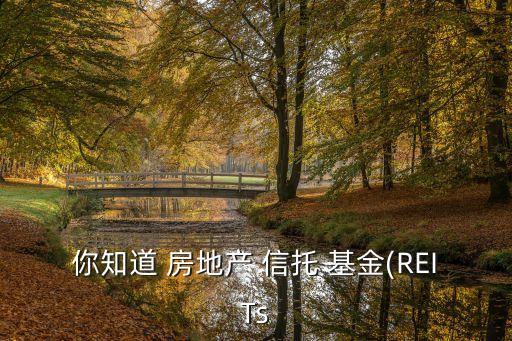 房地產信托投資基金