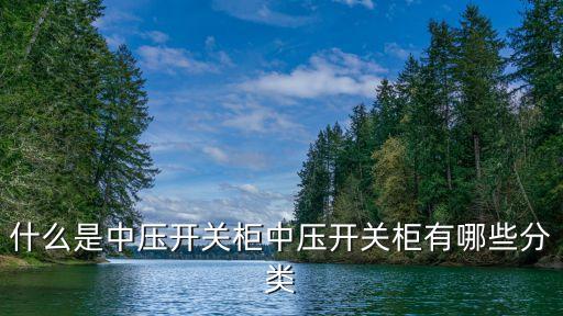 什么是中壓開(kāi)關(guān)柜中壓開(kāi)關(guān)柜有哪些分類