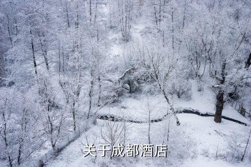 中國華龍旅游飯店集團,哪些是旅游飯店集團經營的優(yōu)勢
