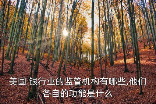 美國 銀行業(yè)的監(jiān)管機構有哪些,他們各自的功能是什么
