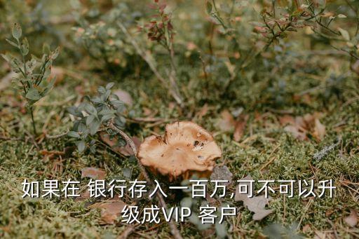 100萬(wàn)存銀行是普通客戶