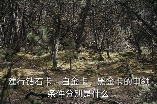  建行鉆石卡、白金卡、黑金卡的申領(lǐng)條件分別是什么