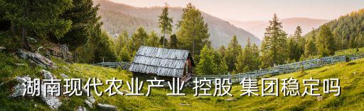 湖南現(xiàn)代農(nóng)業(yè)產(chǎn)業(yè) 控股 集團穩(wěn)定嗎