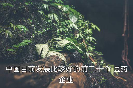 北京普仁鴻醫(yī)藥銷(xiāo)售有限公司