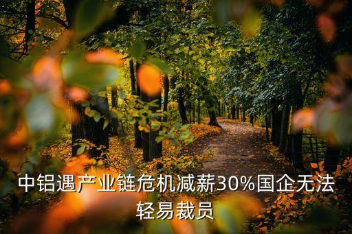 中國鋁業(yè)重慶分公司負(fù)責(zé)人