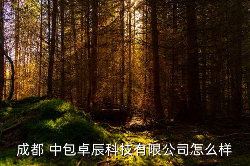 中包集團