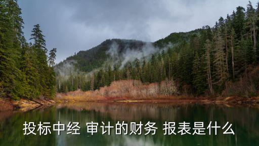 投標(biāo)中經(jīng) 審計(jì)的財(cái)務(wù) 報(bào)表是什么