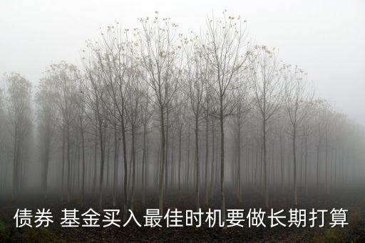 債券 基金買入最佳時(shí)機(jī)要做長期打算