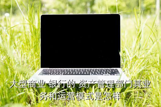 銀行理財資產(chǎn)管理系統(tǒng)開發(fā),銀行資產(chǎn)管理系統(tǒng)主要做什么
