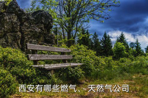西安有哪些燃氣、 天然氣公司