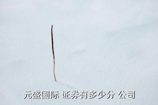 元盛國(guó)際 證券有多少分 公司