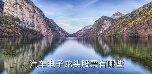 汽車(chē)線纜上市公司,dac線纜上市公司