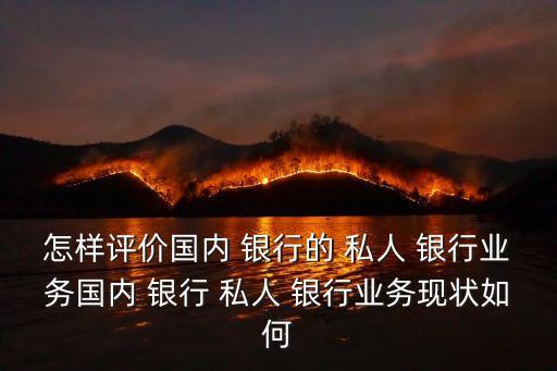 怎樣評價國內(nèi) 銀行的 私人 銀行業(yè)務(wù)國內(nèi) 銀行 私人 銀行業(yè)務(wù)現(xiàn)狀如何