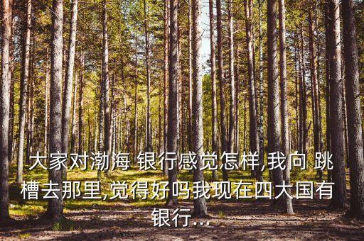 大家對(duì)渤海 銀行感覺怎樣,我向 跳槽去那里,覺得好嗎我現(xiàn)在四大國有 銀行...