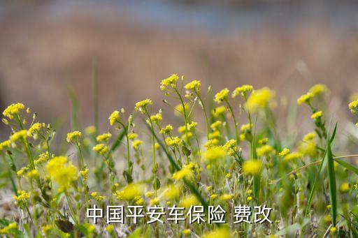 保險公司費(fèi)改什么意思