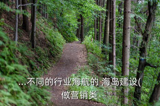 ...不同的行業(yè)海航的 海島建設(shè)(做營(yíng)銷(xiāo)類(lèi)
