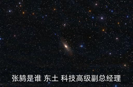 張鶇是誰(shuí) 東土 科技高級(jí)副總經(jīng)理