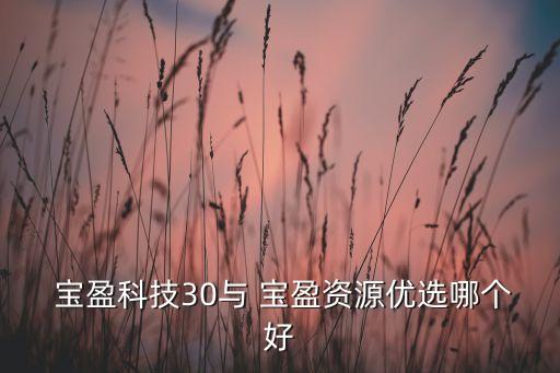  寶盈科技30與 寶盈資源優(yōu)選哪個(gè)好
