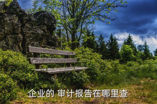 企業(yè)的 審計(jì)報(bào)告在哪里查