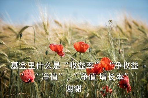  基金里什么是“收益率”,“凈收益”,“ 凈值”,“ 凈值 增長率”謝謝