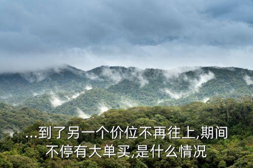 ...到了另一個(gè)價(jià)位不再往上,期間不停有大單買,是什么情況