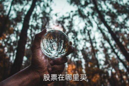  股票在哪里買(mǎi)
