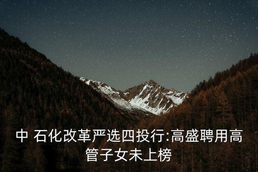 中 石化改革嚴選四投行:高盛聘用高管子女未上榜