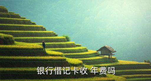 工商銀行儲蓄卡有年費嗎,興業(yè)銀行信用卡年費900怎么減免