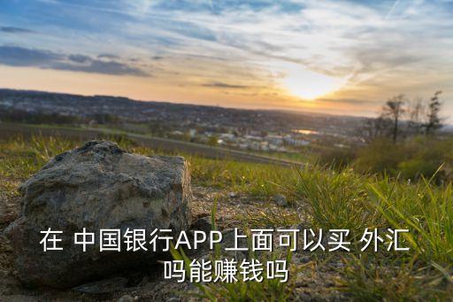 在 中國(guó)銀行APP上面可以買(mǎi) 外匯嗎能賺錢(qián)嗎