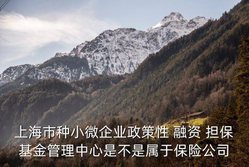 上海市種小微企業(yè)政策性 融資 擔?；鸸芾碇行氖遣皇菍儆诒ｋU公司