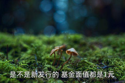 基金沒(méi)份1元,基金的多少份是錢(qián)嗎