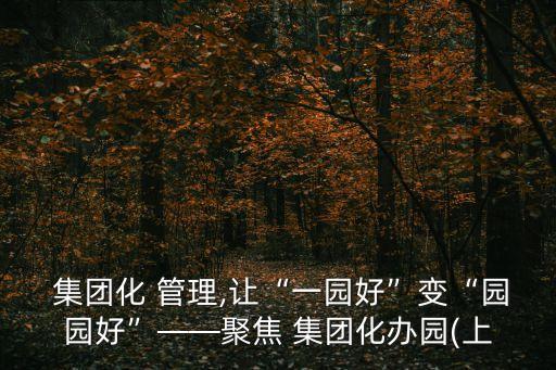 行政集團(tuán)化管理報告,公司集團(tuán)化管理的原則是 行政十市場