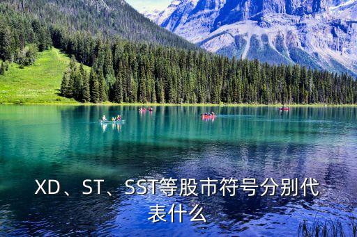 XD、ST、SST等股市符號分別代表什么