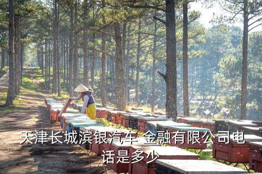 天津長(zhǎng)城濱銀汽車(chē) 金融有限公司電話是多少