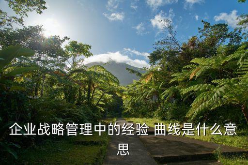 公司曲線,公司第二增長曲線